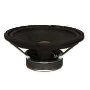 GW-1038: 10 inch Woofer