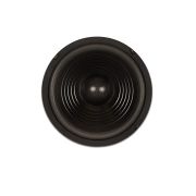 Goldwood GW-208: 8 inch Woofer