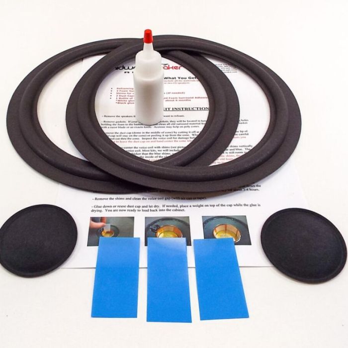 Bose 10 inch Flat Refoam Kit (F10-10)