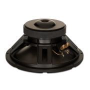 Goldwood GW-10PC: 10 inch Heavy Duty Woofer