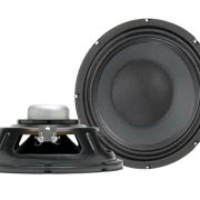 Eminence Basslite SC10: 10 inch Bass Guitar Speaker Neo-0