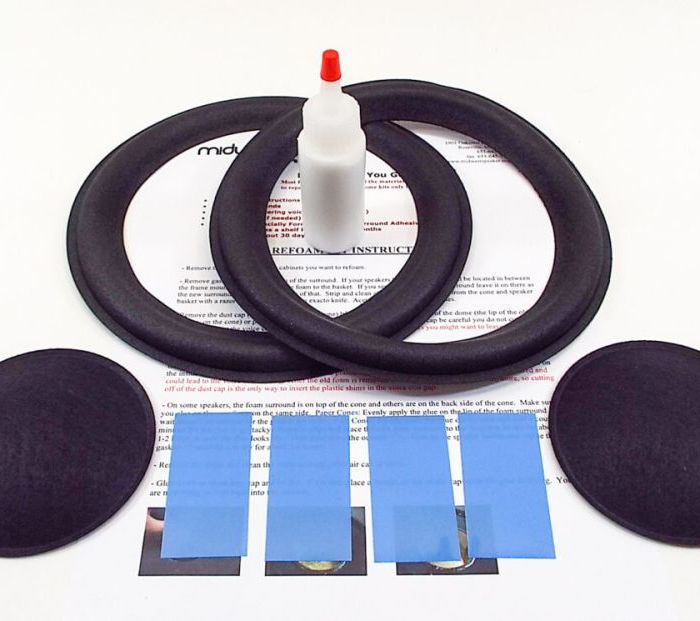 Bose Model 31 8 inch Refoam Kit (F8-3)